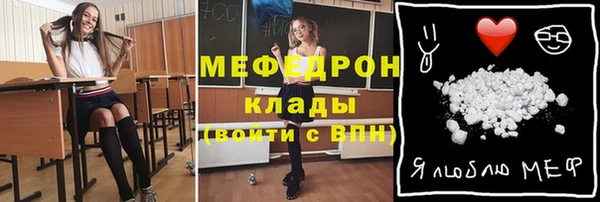 индика Зеленокумск