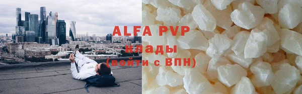 индика Зеленокумск