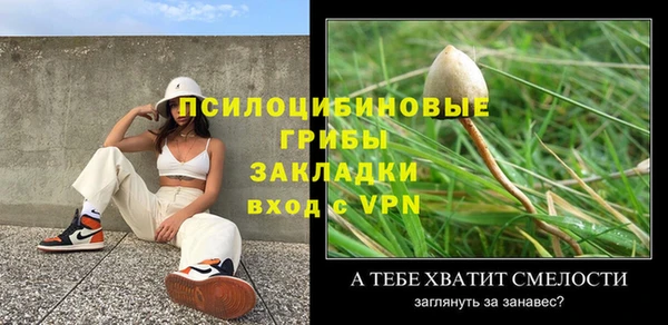индика Зеленокумск