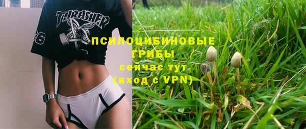 индика Зеленокумск