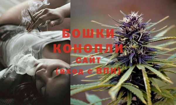 индика Зеленокумск