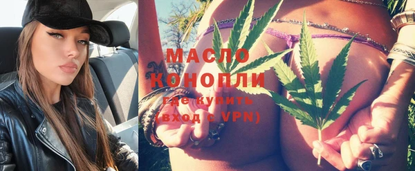 индика Зеленокумск
