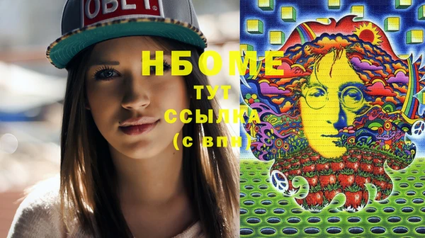 индика Зеленокумск
