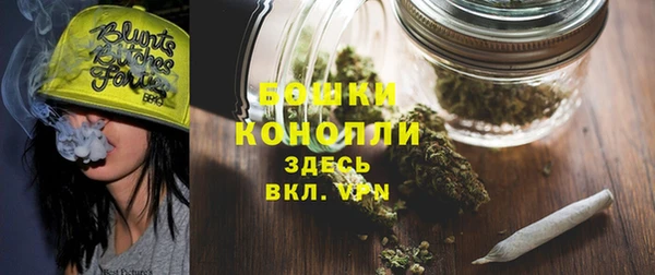 индика Зеленокумск