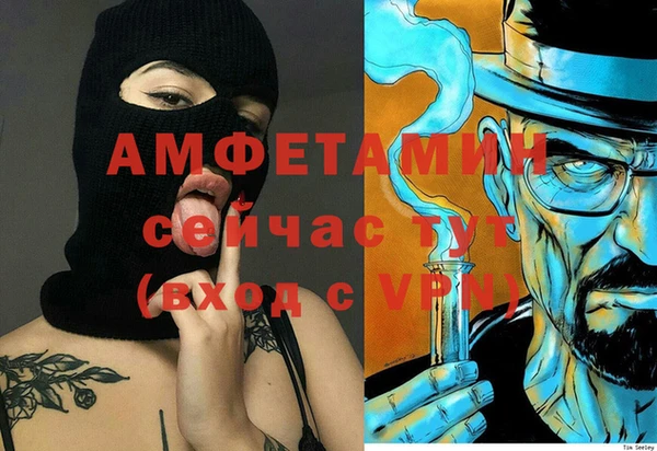 индика Зеленокумск