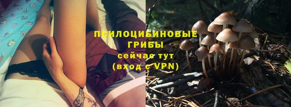 индика Зеленокумск