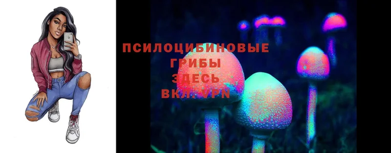 Псилоцибиновые грибы Psilocybine cubensis  darknet телеграм  Муром 