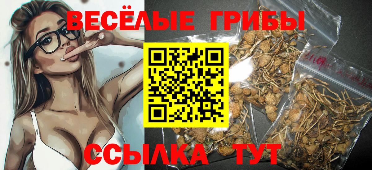 Галлюциногенные грибы прущие грибы Муром