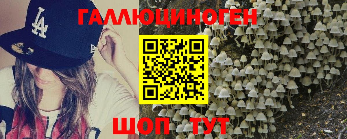 Муром  Галлюциногенные грибы Psilocybine cubensis  Вход с VPN 